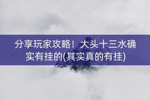 分享玩家攻略！大头十三水确实有挂的(其实真的有挂)