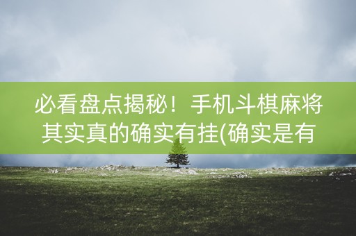 必看盘点揭秘！手机斗棋麻将其实真的确实有挂(确实是有挂的)