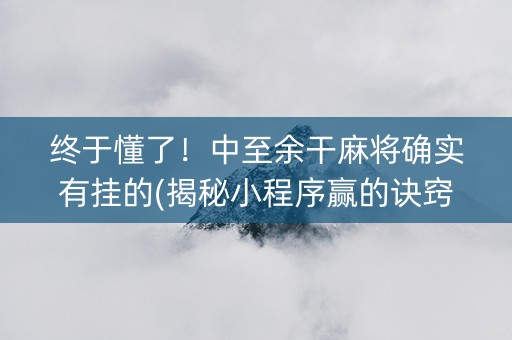 终于懂了！中至余干麻将确实有挂的(揭秘小程序赢的诀窍)