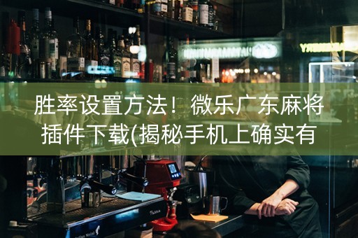 胜率设置方法！微乐广东麻将插件下载(揭秘手机上确实有猫腻)