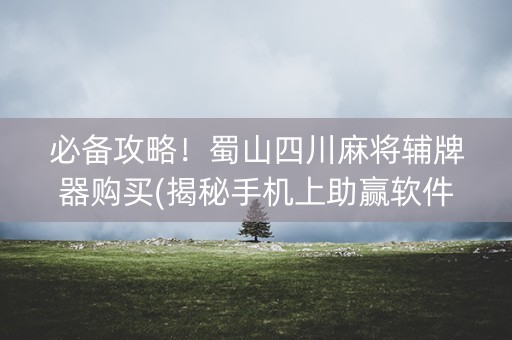 必备攻略！蜀山四川麻将辅牌器购买(揭秘手机上助赢软件)