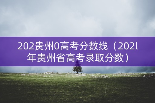 202贵州0高考分数线（202l年贵州省高考录取分数）
