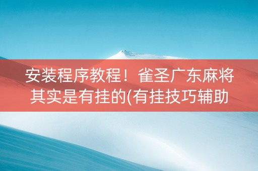 安装程序教程！雀圣广东麻将其实是有挂的(有挂技巧辅助器)