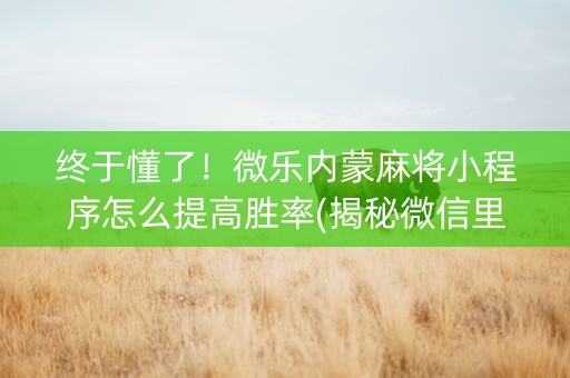 终于懂了！微乐内蒙麻将小程序怎么提高胜率(揭秘微信里助赢神器)