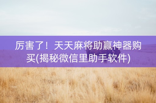 厉害了！天天麻将助赢神器购买(揭秘微信里助手软件)