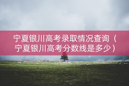 宁夏银川高考录取情况查询（宁夏银川高考分数线是多少）
