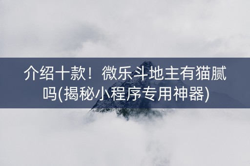介绍十款！微乐斗地主有猫腻吗(揭秘小程序专用神器)