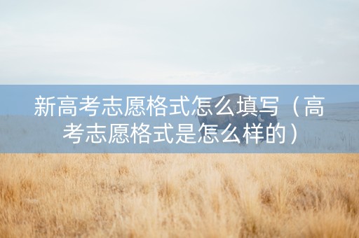 新高考志愿格式怎么填写（高考志愿格式是怎么样的）