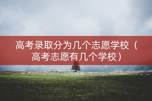 高考录取分为几个志愿学校（高考志愿有几个学校）