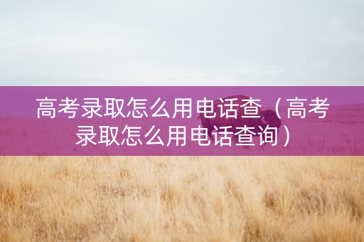 高考录取怎么用电话查（高考录取怎么用电话查询）