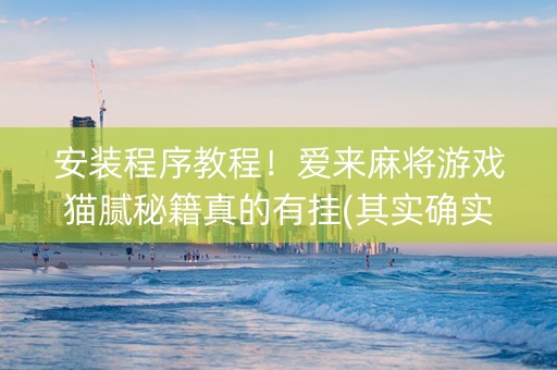 安装程序教程！爱来麻将游戏猫腻秘籍真的有挂(其实确实有挂)