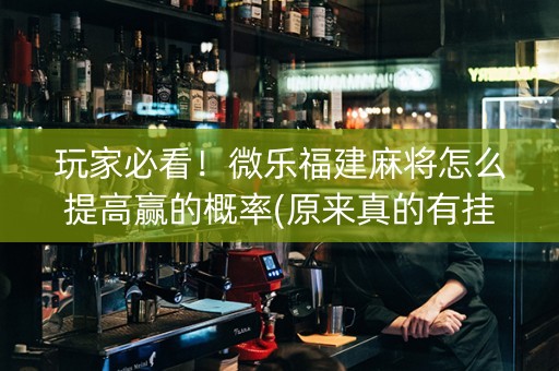 玩家必看！微乐福建麻将怎么提高赢的概率(原来真的有挂)