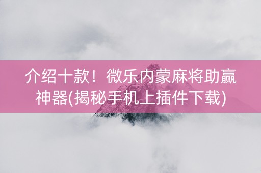 介绍十款！微乐内蒙麻将助赢神器(揭秘手机上插件下载)