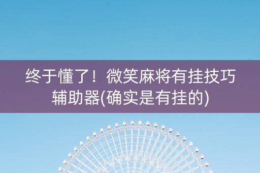终于懂了！微笑麻将有挂技巧辅助器(确实是有挂的)
