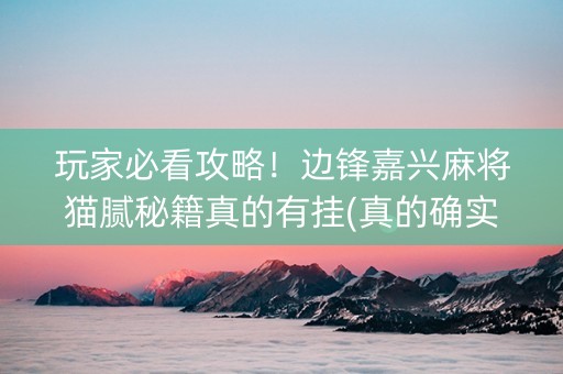 玩家必看攻略！边锋嘉兴麻将猫腻秘籍真的有挂(真的确实是有挂)