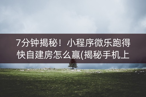7分钟揭秘！小程序微乐跑得快自建房怎么赢(揭秘手机上确实有猫腻)
