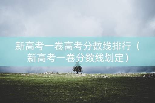 新高考一卷高考分数线排行（新高考一卷分数线划定）