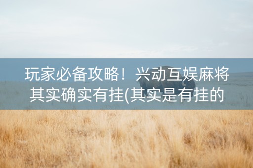 玩家必备攻略！兴动互娱麻将其实确实有挂(其实是有挂的)