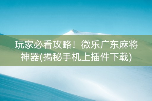 玩家必看攻略！微乐广东麻将神器(揭秘手机上插件下载)