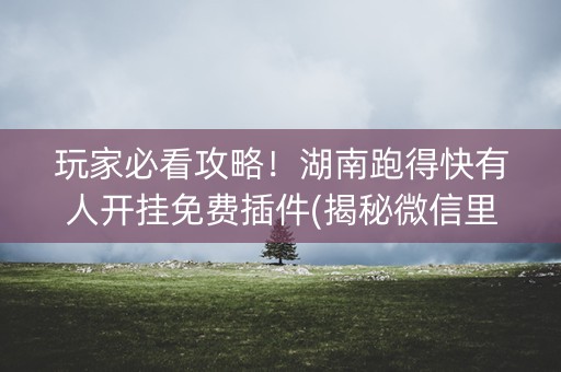 玩家必看攻略！湖南跑得快有人开挂免费插件(揭秘微信里助赢神器)
