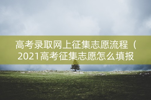 高考录取网上征集志愿流程（2021高考征集志愿怎么填报流程）