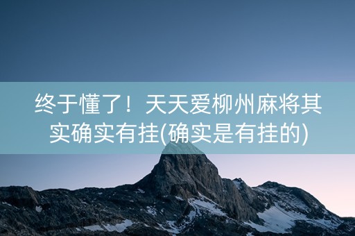 终于懂了！天天爱柳州麻将其实确实有挂(确实是有挂的)