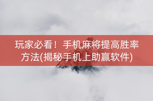 玩家必看！手机麻将提高胜率方法(揭秘手机上助赢软件)
