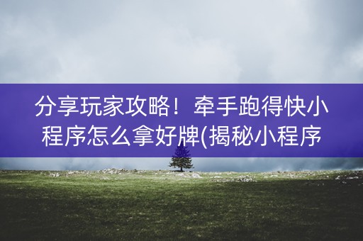 分享玩家攻略！牵手跑得快小程序怎么拿好牌(揭秘小程序输赢规律)