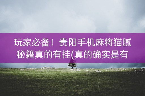 玩家必备！贵阳手机麻将猫腻秘籍真的有挂(真的确实是有挂)
