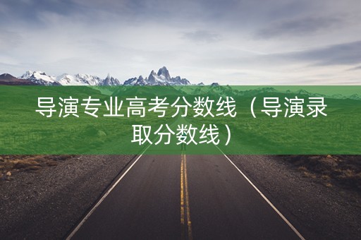 导演专业高考分数线（导演录取分数线）