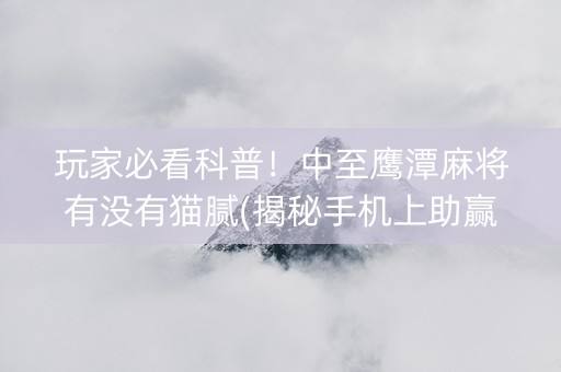 玩家必看科普！中至鹰潭麻将有没有猫腻(揭秘手机上助赢神器购买)