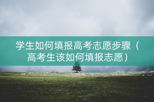 学生如何填报高考志愿步骤（高考生该如何填报志愿）