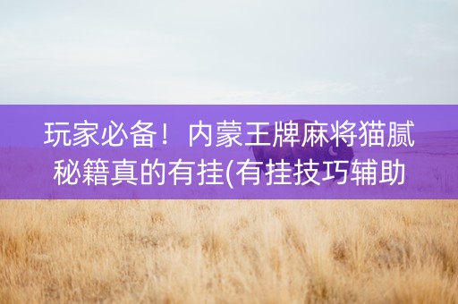 玩家必备！内蒙王牌麻将猫腻秘籍真的有挂(有挂技巧辅助器)