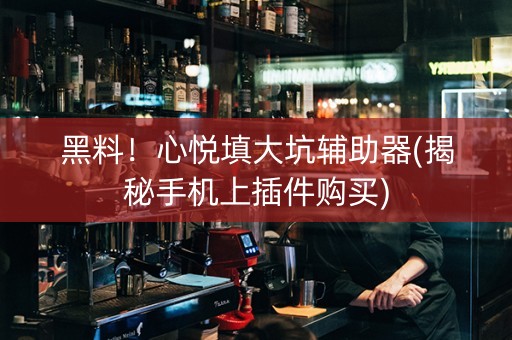 黑料！心悦填大坑辅助器(揭秘手机上插件购买)