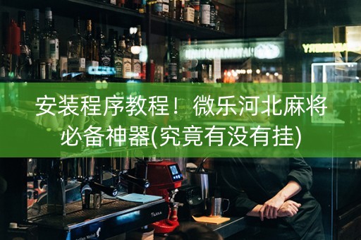 安装程序教程！微乐河北麻将必备神器(究竟有没有挂)
