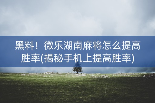 黑料！微乐湖南麻将怎么提高胜率(揭秘手机上提高胜率)