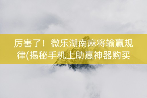 厉害了！微乐湖南麻将输赢规律(揭秘手机上助赢神器购买)