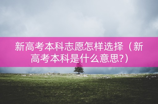 新高考本科志愿怎样选择（新高考本科是什么意思?）