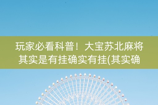 玩家必看科普！大宝苏北麻将其实是有挂确实有挂(其实确实有挂)