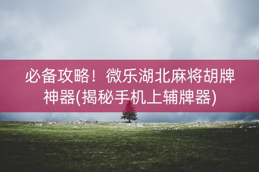 必备攻略！微乐湖北麻将胡牌神器(揭秘手机上辅牌器)