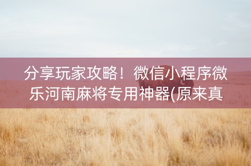 分享玩家攻略！微信小程序微乐河南麻将专用神器(原来真的有挂呢)