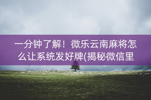 一分钟了解！微乐云南麻将怎么让系统发好牌(揭秘微信里确实有猫腻)