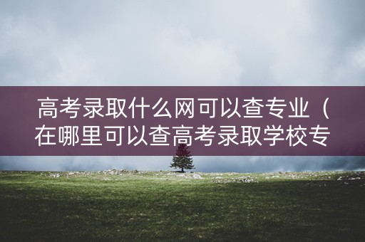 高考录取什么网可以查专业（在哪里可以查高考录取学校专业）