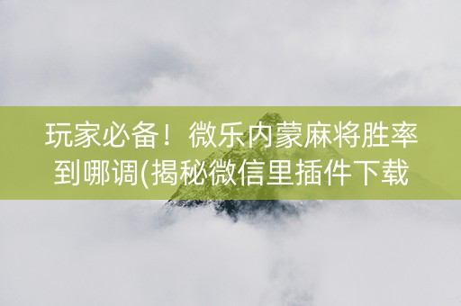 玩家必备！微乐内蒙麻将胜率到哪调(揭秘微信里插件下载)