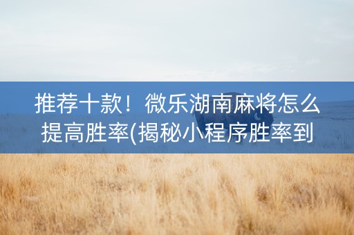 推荐十款！微乐湖南麻将怎么提高胜率(揭秘小程序胜率到哪调)