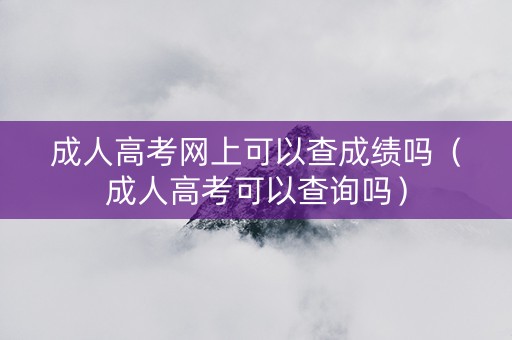 成人高考网上可以查成绩吗（成人高考可以查询吗）