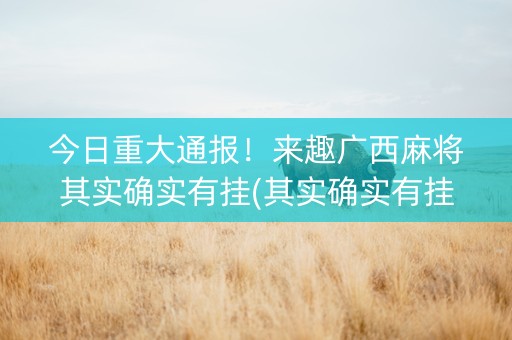 今日重大通报！来趣广西麻将其实确实有挂(其实确实有挂)