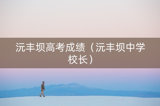 沅丰坝高考成绩（沅丰坝中学校长）