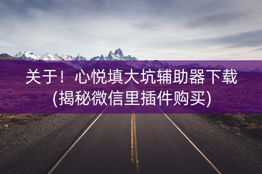 关于！心悦填大坑辅助器下载(揭秘微信里插件购买)