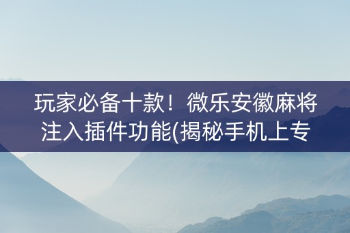 玩家必备十款！微乐安徽麻将注入插件功能(揭秘手机上专用神器下载)